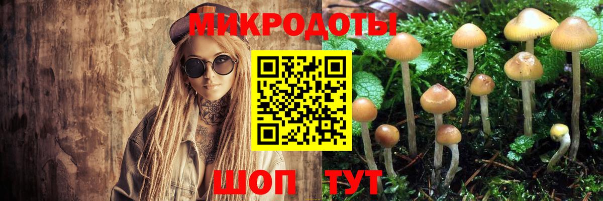 Псилоцибиновые грибы прущие грибы Тобольск