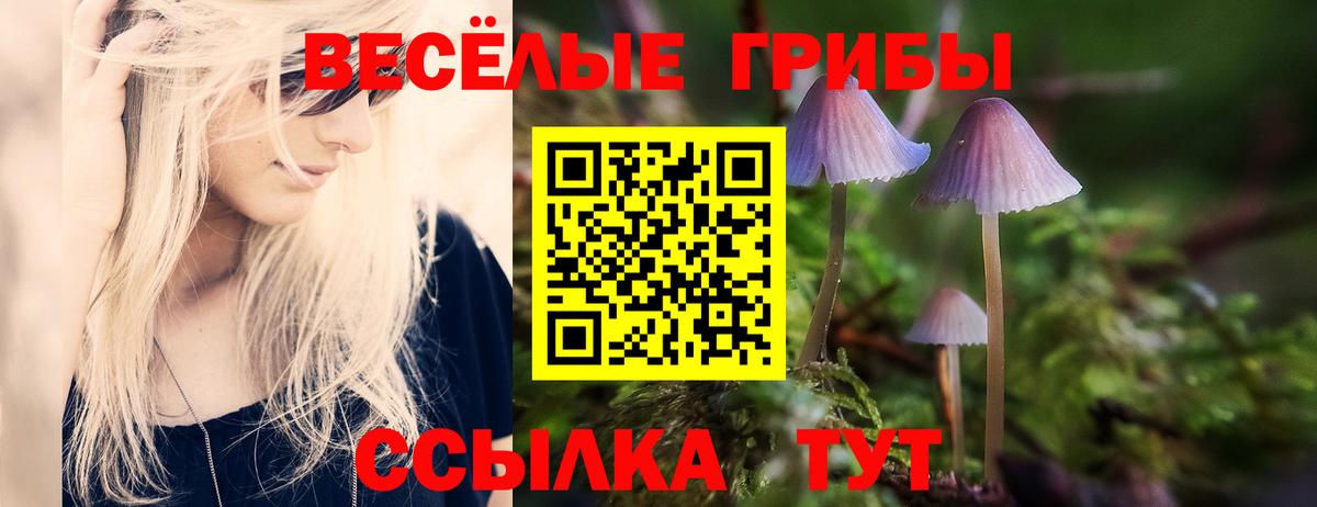 Псилоцибиновые грибы мицелий  магазин  наркотиков  Тобольск  Вход с VPN 